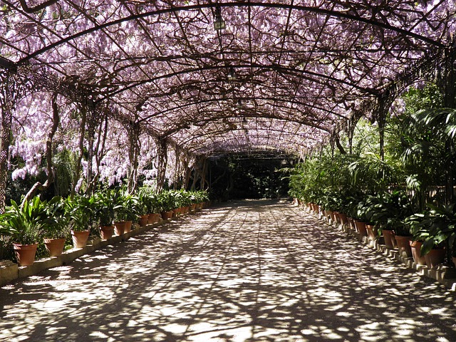 botanická zahrada
