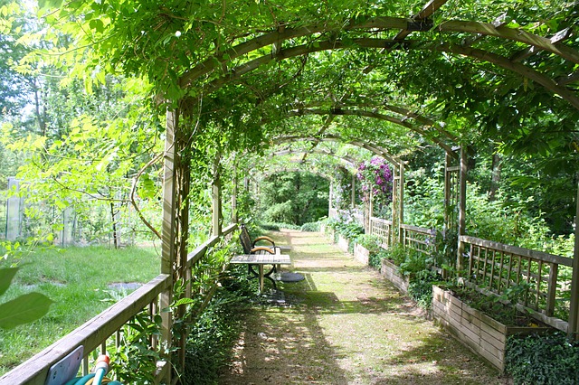 zahradní pergola