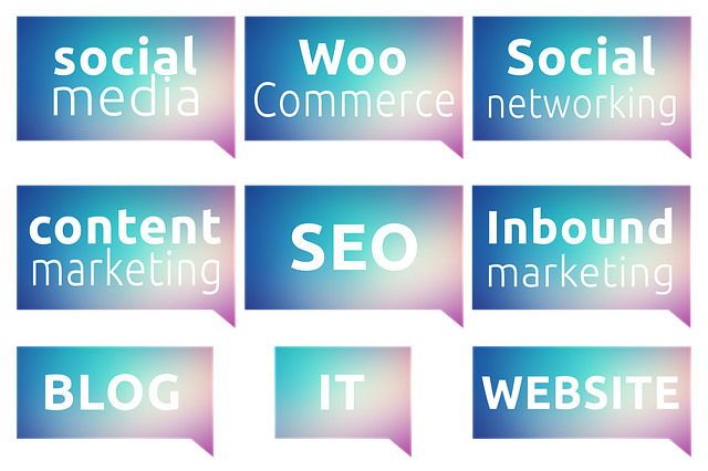 seo média