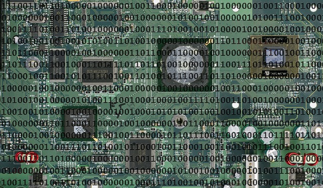 svět jedniček a nul